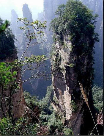 長(zhǎng)沙出發(fā)到張家界溶洞奇觀黃龍洞、國(guó)家森林公園、袁家界、峰林之王天子山三日游（早班）