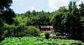 長(zhǎng)沙出發(fā)到花明樓、韶山、張家界國(guó)家森林公園、天門仙山國(guó)家森林公園四日游